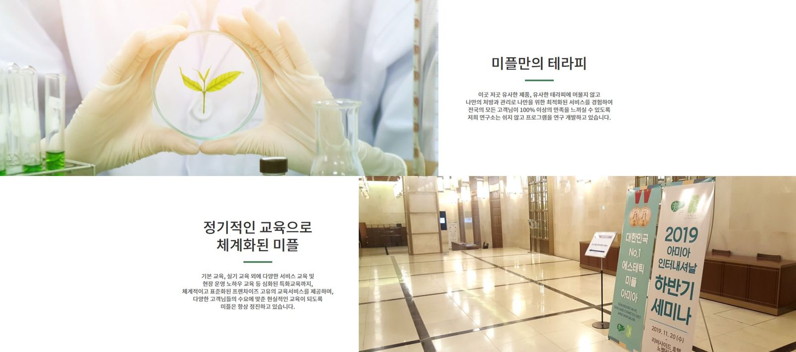 미플만의 테라피와 정기 교육